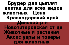 Брудер для цыплят, клетки для всех видов животных › Цена ­ 3 500 - Краснодарский край, Динской р-н, Новотитаровская ст-ца Животные и растения » Аксесcуары и товары для животных   